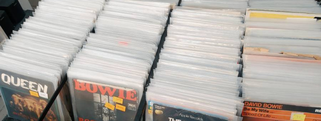 SINGLICE NA 20% POPUSTA – KOMPLETAN ASORTIMAN!