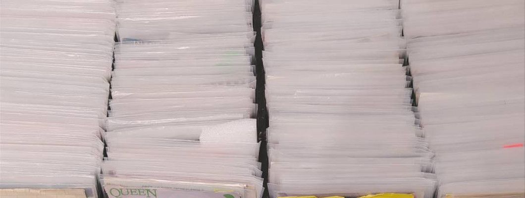 KATALOG SINGL PLOČA IZ FREE BIRD-a