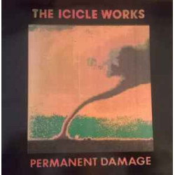ICICLE WORKS - Permanent Damage