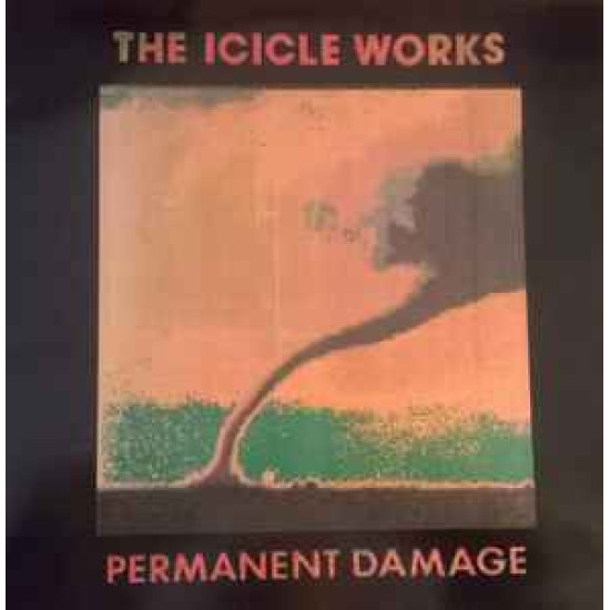 ICICLE WORKS - Permanent Damage