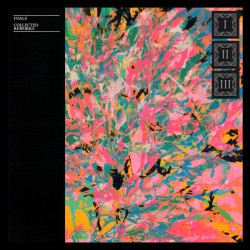 FOALS - COLLECTED REWORKS (coloured)