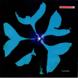 DARLING BUDS - Crawdaddy