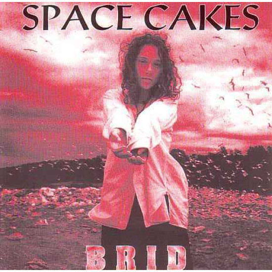 SPACE CAKES   - BRID