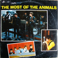 ANIMALS   - THE MOST OF THE ANIMALS