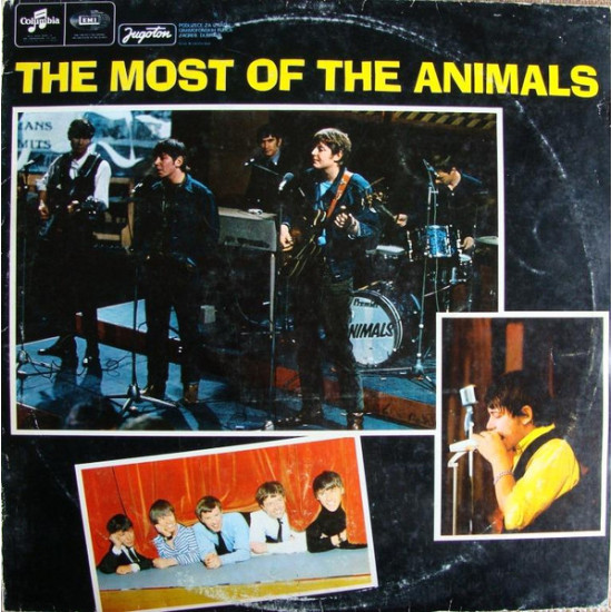 ANIMALS   - THE MOST OF THE ANIMALS