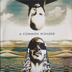 Gazaway Amerigo - A Common Wonder