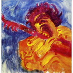 HENDRIX JIMI - THE JIMI HENDRIX CONCERTS