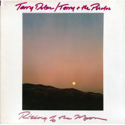 Terry Dolan / Terry & The Pirates - Rising Of The Moon