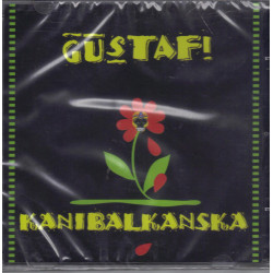 Miroslav Miro Dimić/POPROCK ŠKOLA - MUZIKA JE KLJUČ