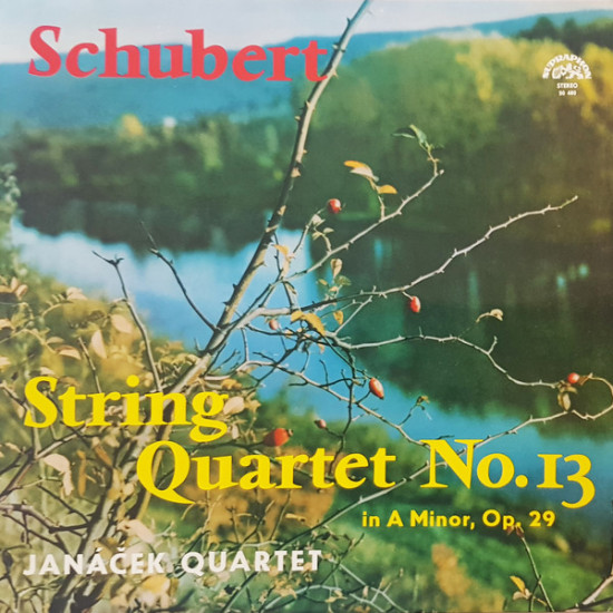 Schubert - String Quartet No. 13 In A Minor, Op. 29/Janáček Quartet