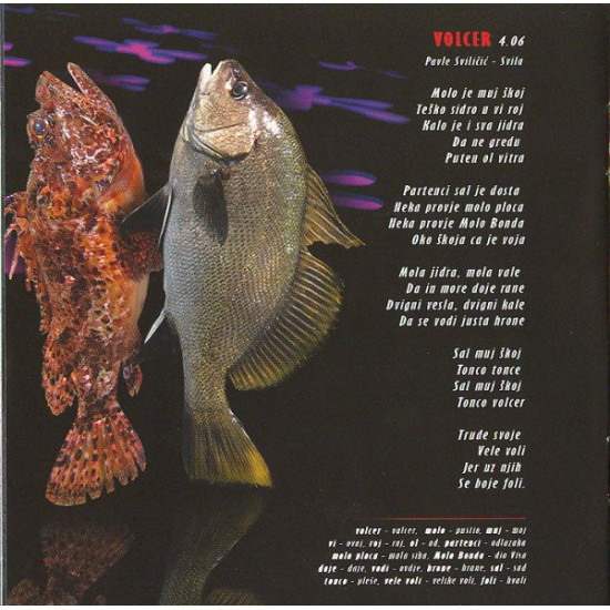 KOPITO - RIBA