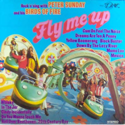 Peter Sunday And His Birds Of Fire - Fly Me Up