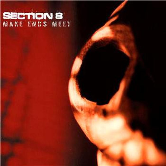 Section 8 - Make Ends Meet
