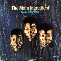 Main Ingredient  - Shame On The World
