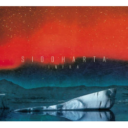 SIDDHARTA - Infra