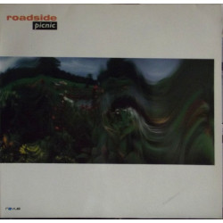 Roadside Picnic - Roadside Picnic