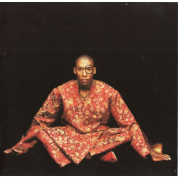 Saadiq Raphael - Instant Vintage