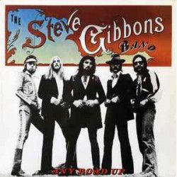 GIBBONS STEVE BAND - ANY ROAD UP