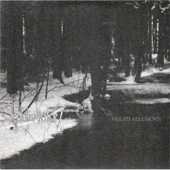Vinterriket / Veiled Allusions - Split