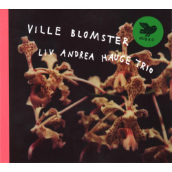 Liv Andrea Hauge Trio - Ville Blomster