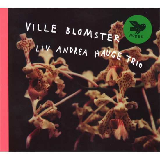 Liv Andrea Hauge Trio - Ville Blomster