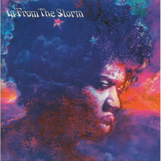 V.A. - In From The Storm/Paul Rodgers, Brian May, Sting…