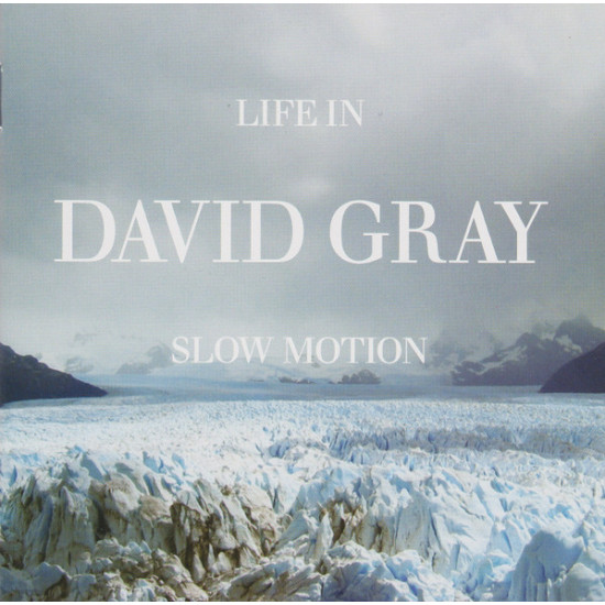 GRAY DAVID - LIFE IS SLOW MOTION