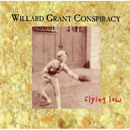 WILLARD GRANT CONSPIRACY - FLYING LOW