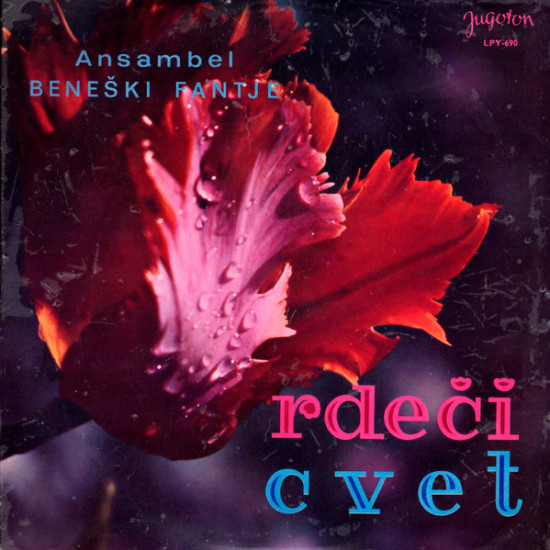 BENEŠKI FANTJE - RDEČI CVET