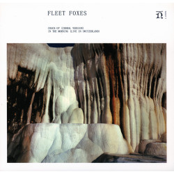 FLEET FOXES - CRACK-UP/IN THE MORNING single