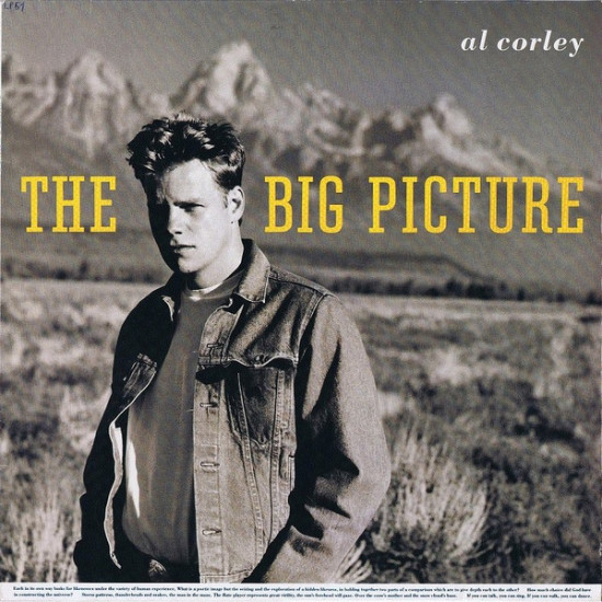 CORLEY AL   - The Big Picture