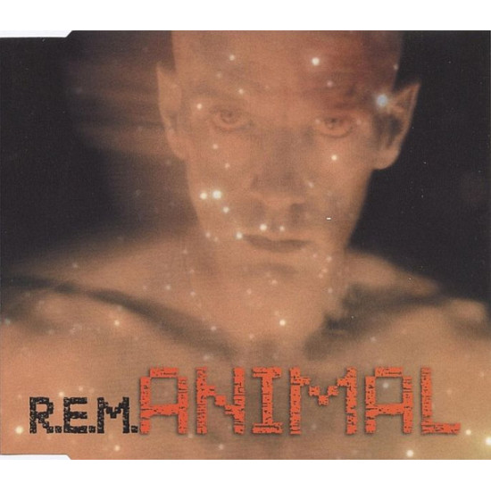 R.E.M. - Animal
