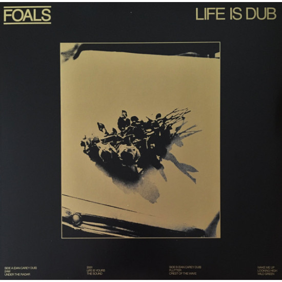 FOALS - LIFE IS DUB