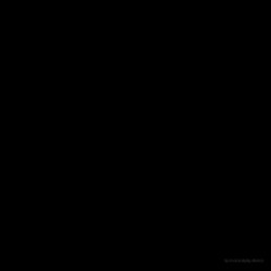 Vinterriket - Von Eiskristallen... Und Dem Ewigen Chaos