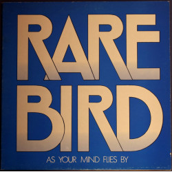 RARE BIRD - AS YOUR MIND FLIES BY
