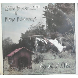 BRICKELL EDDIE&NEW BOHEMIANS - GHOST OF A DOG