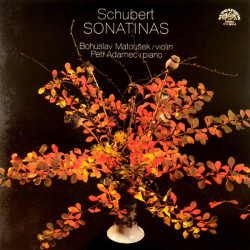 SCHUBERT  - SONATINAS/MATOUŠEK-VIOLIN, ADAMEC - PIANO