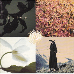 ALICE - Mezzogiorno Sulle Alpi