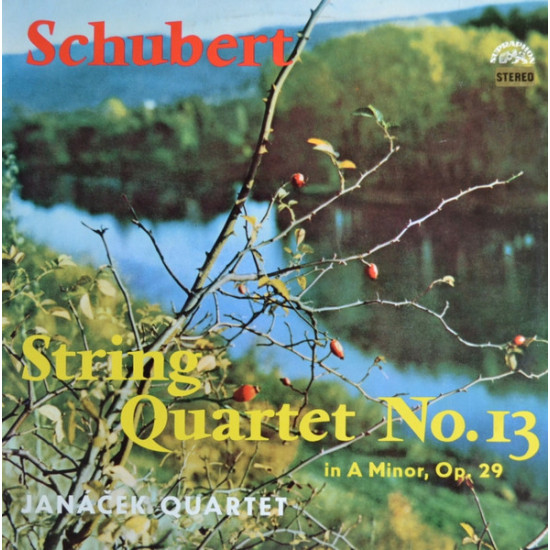 Schubert - String Quartets No. 13 In A Minor, Op. 29/Janáček Quartet