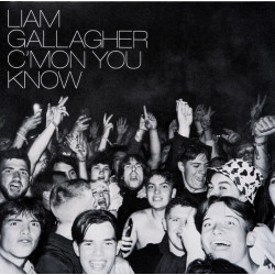 Gallagher Liam - C'mon You Know