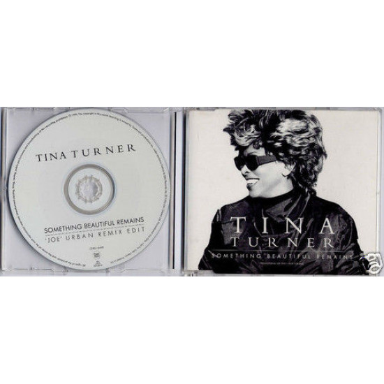 TURNER TINA  - SOMETHING BEAUTIFUL REMAINS