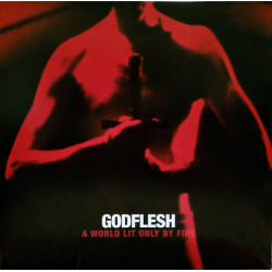 GODFLESH - A World Lit Only By Fire