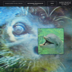 FRANKIE GOES TO HOLLYWOOD - WATCHING THE WILDLIFE