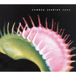 COWBOY JUNKIES - Open