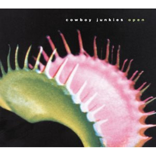 COWBOY JUNKIES - Open