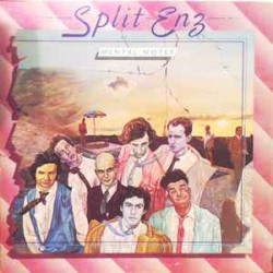 SPLIT ENZ - Mental Notes