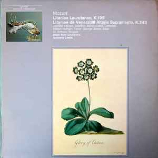 Mozart - Litaniae Lauretanae, K. 195 - Lataniae De Venerabili Altaris Sacremento, K. 243/St. Anthony Singers, The Boyd Neel Orchestra, Anthony Lewis (2), Jennifer Vyvyan, Nancy Evans (3), William Herbert, George James (7), Ralph Downes