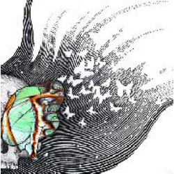 Luck Of Eden Hall - Butterfly Revolutions