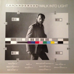 ANDERSON IAN - WALK INTO LIGHT
