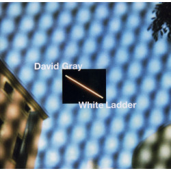 GRAY DAVID - WHITE LADDER